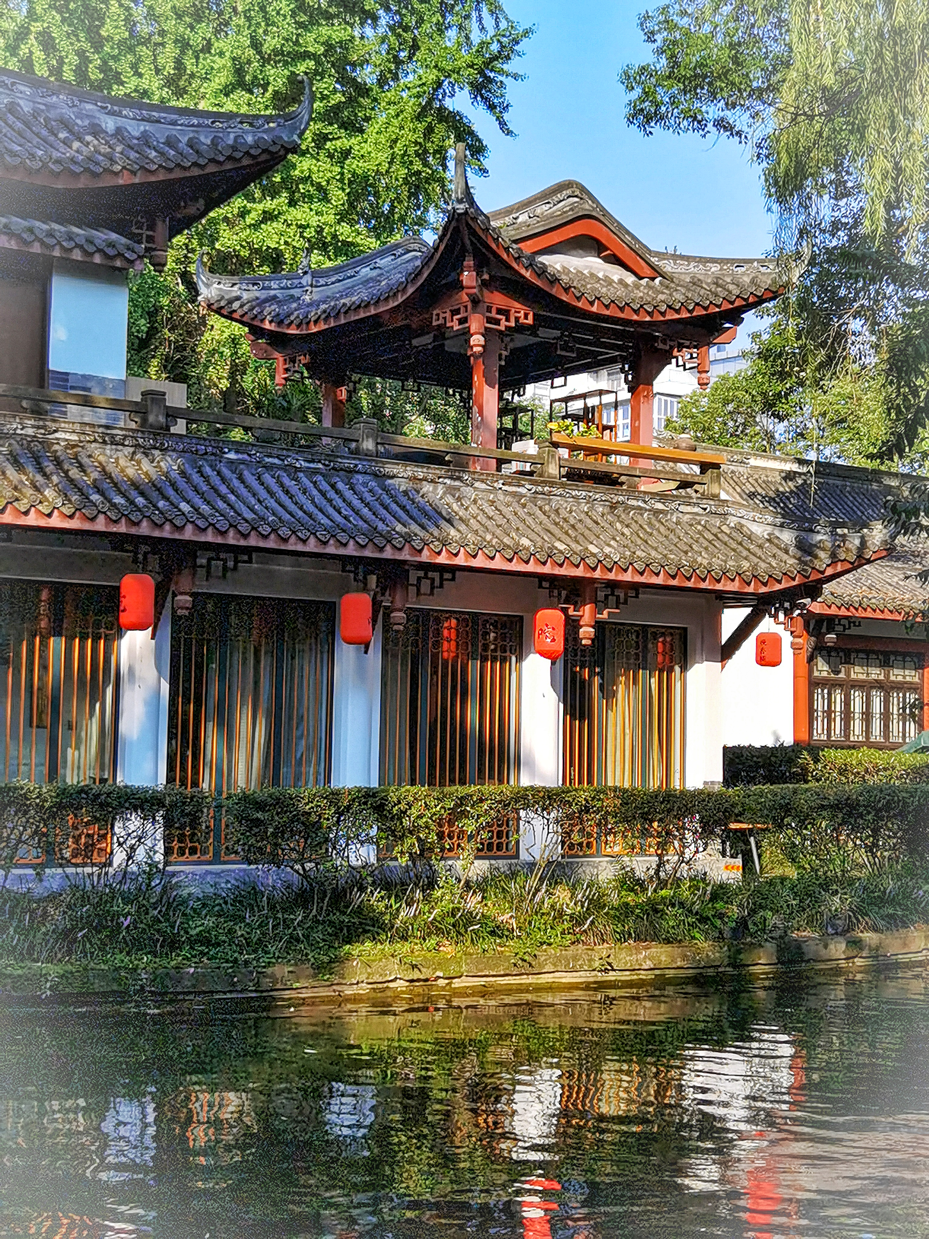 游成都百花潭公园