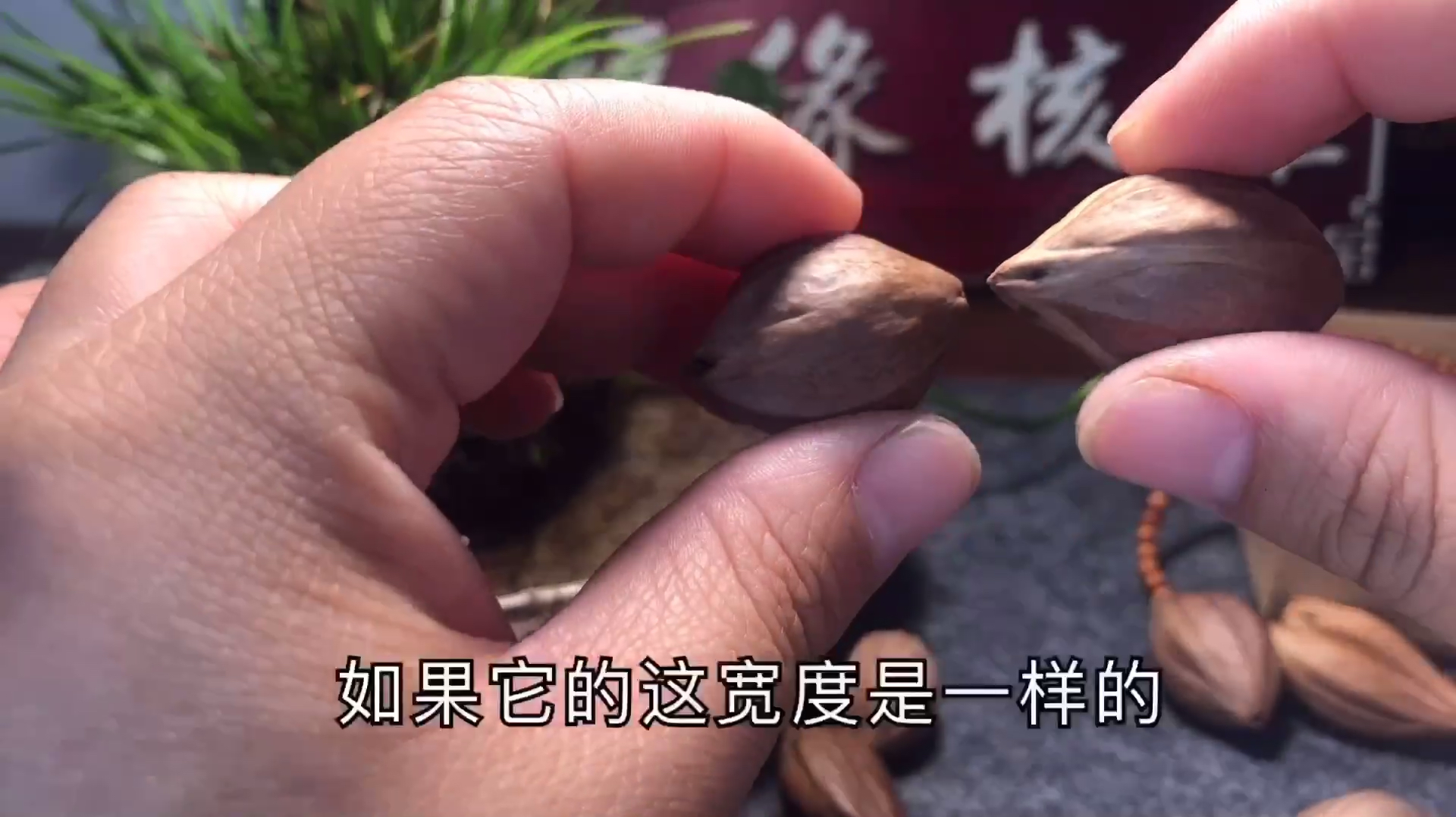 橄榄核雕手串水晶核好还是铁核好?(上)