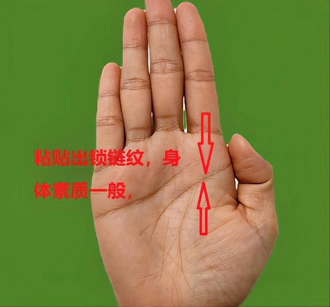 木型手,也是女人最常见的一款手型之一,多思多虑,脑线和生命线粘贴长