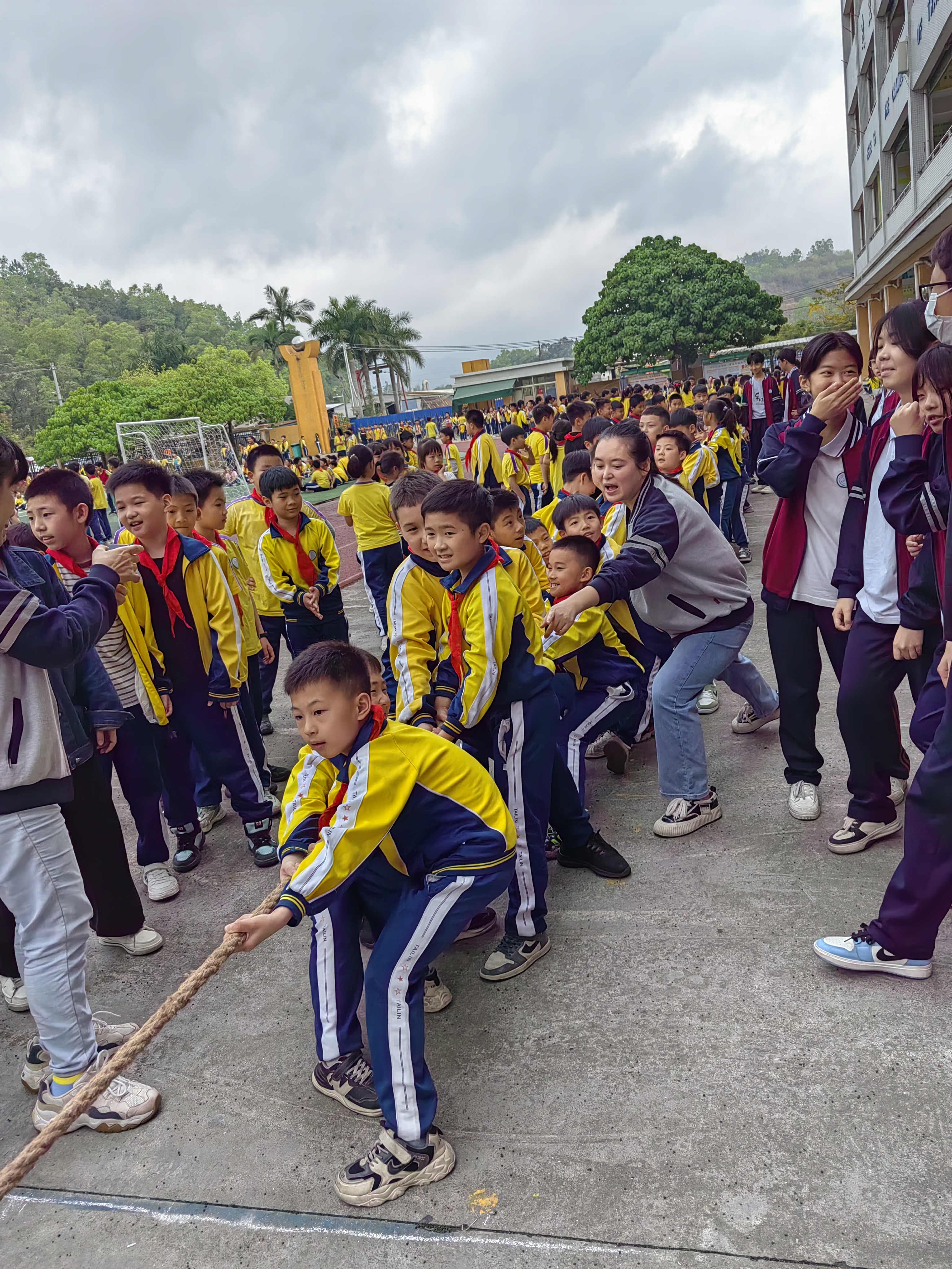 泰林中英文学校第八届体育嘉年华一撇