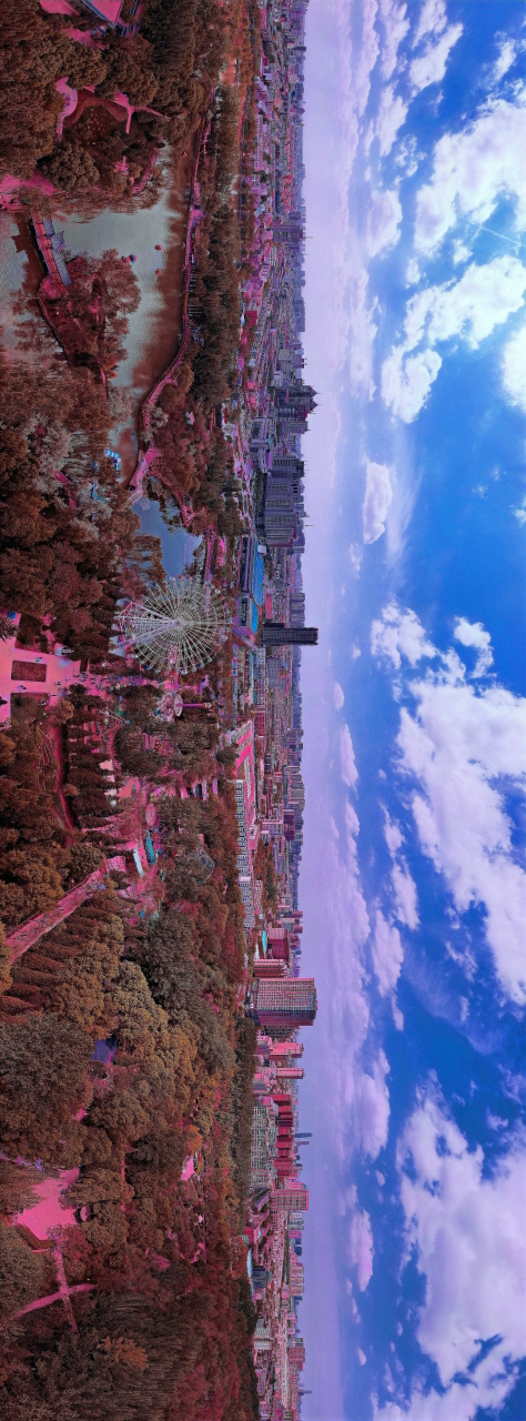 空中俯瞰银川中山公园美景.