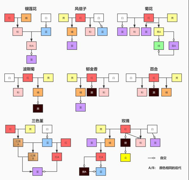 动森花杂交图鉴图片