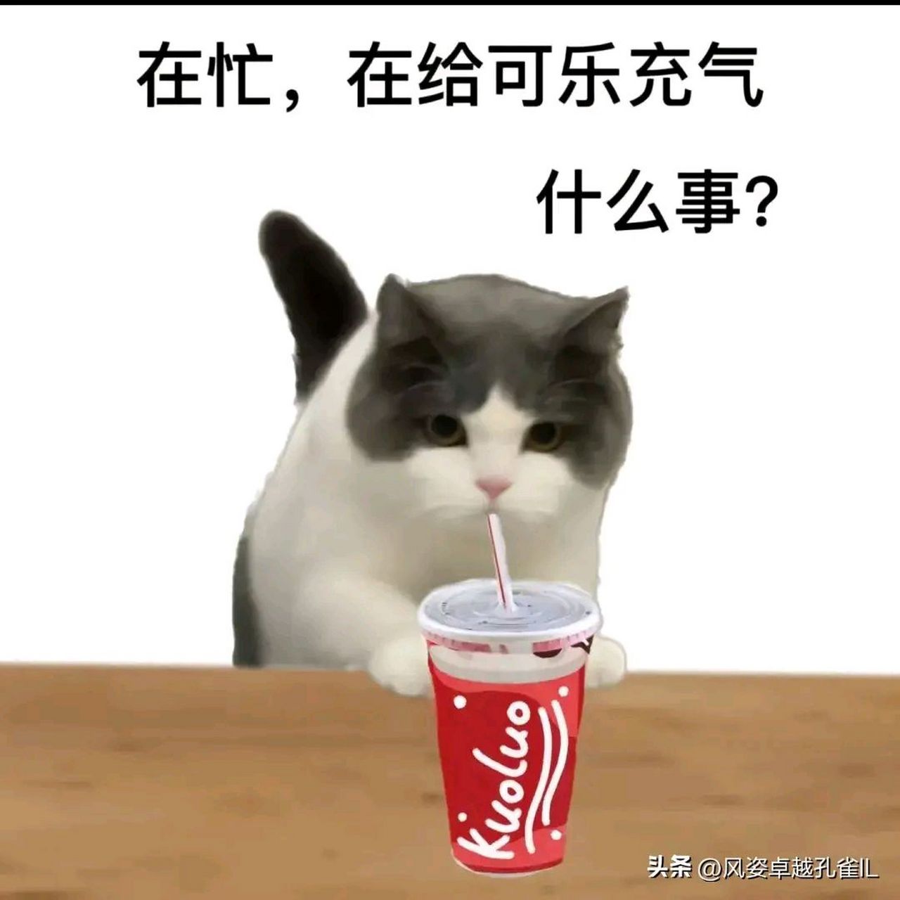 在忙没空回信息搞笑表情包