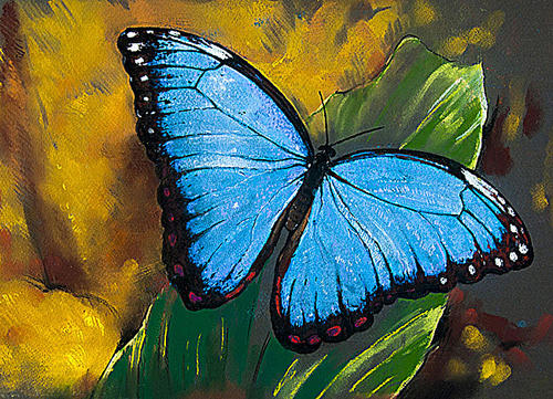 油画作品欣赏:蓝蝴蝶