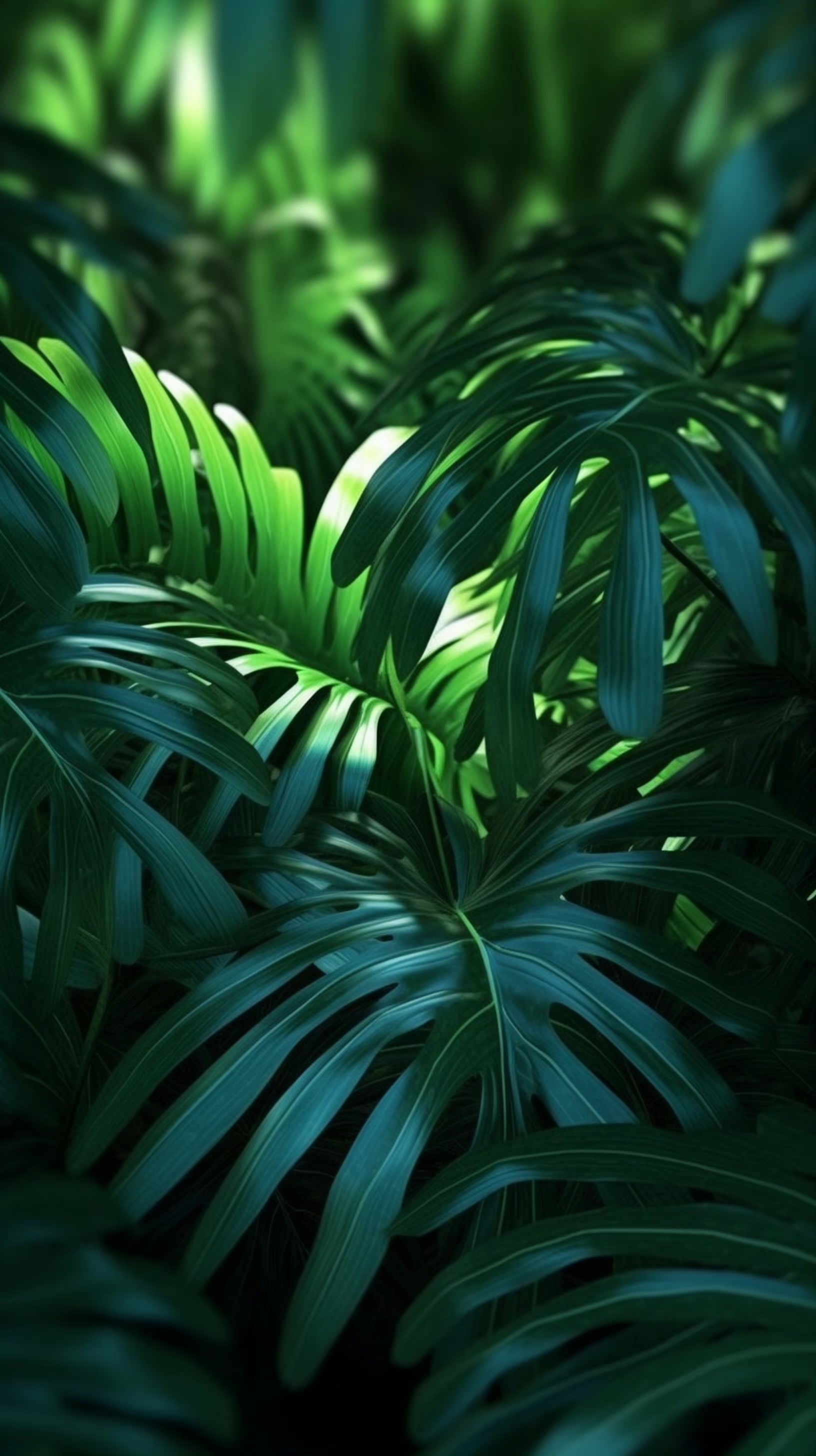 炎炎夏日一组清凉的微观高清壁纸