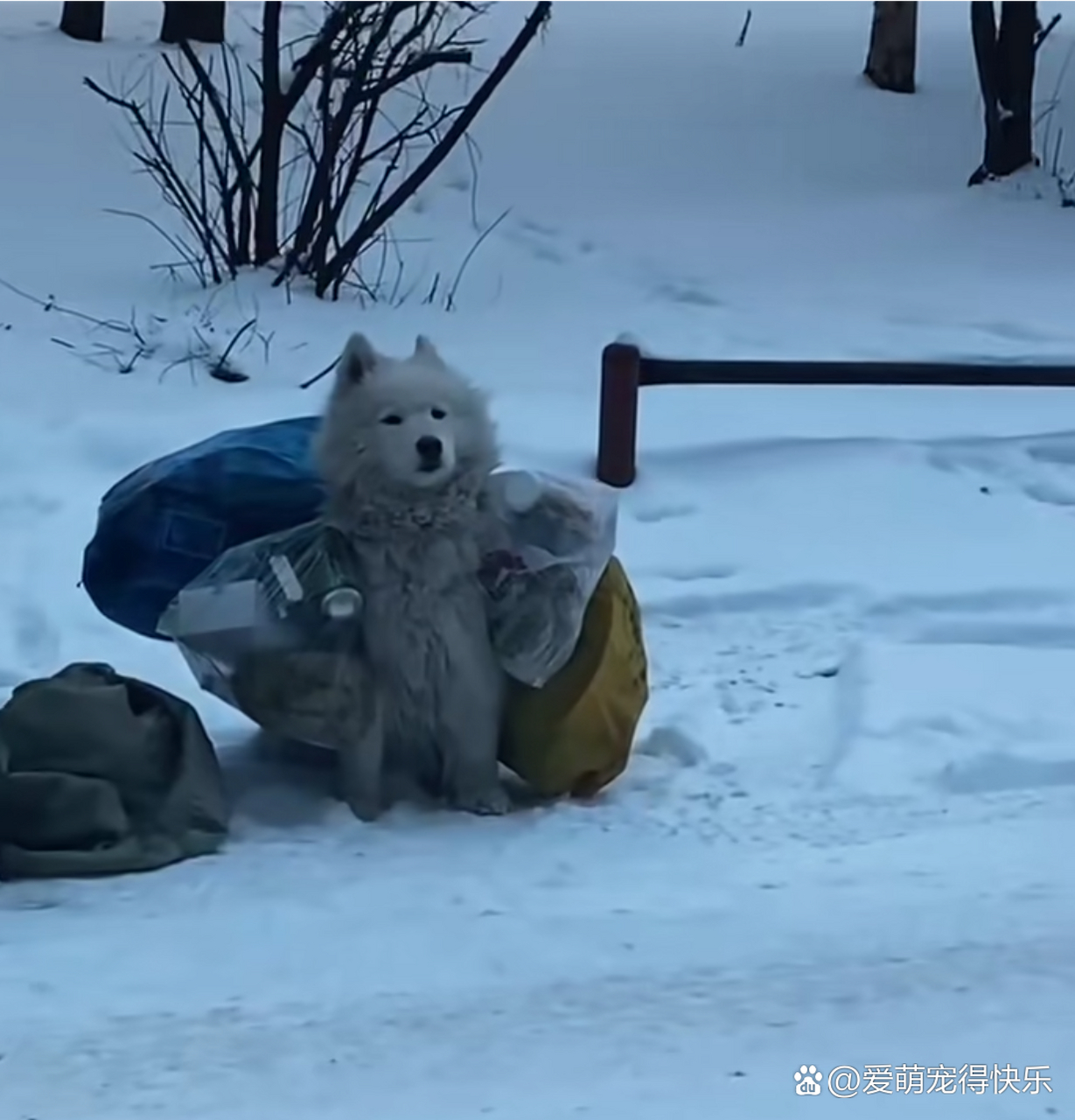 家里很破烂的搞笑图片图片