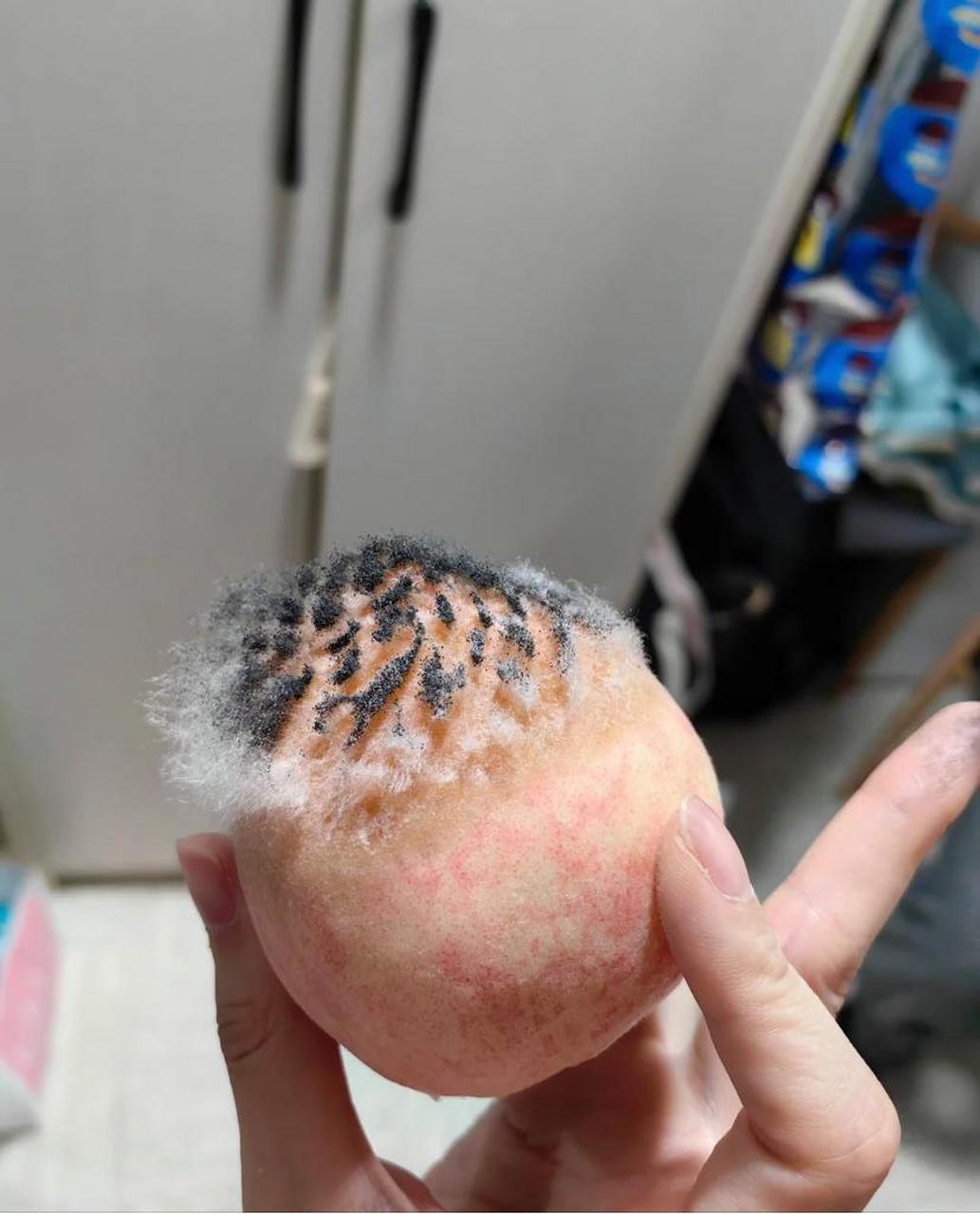 不错,把桃子的头发都培养出来的#趣图搞笑