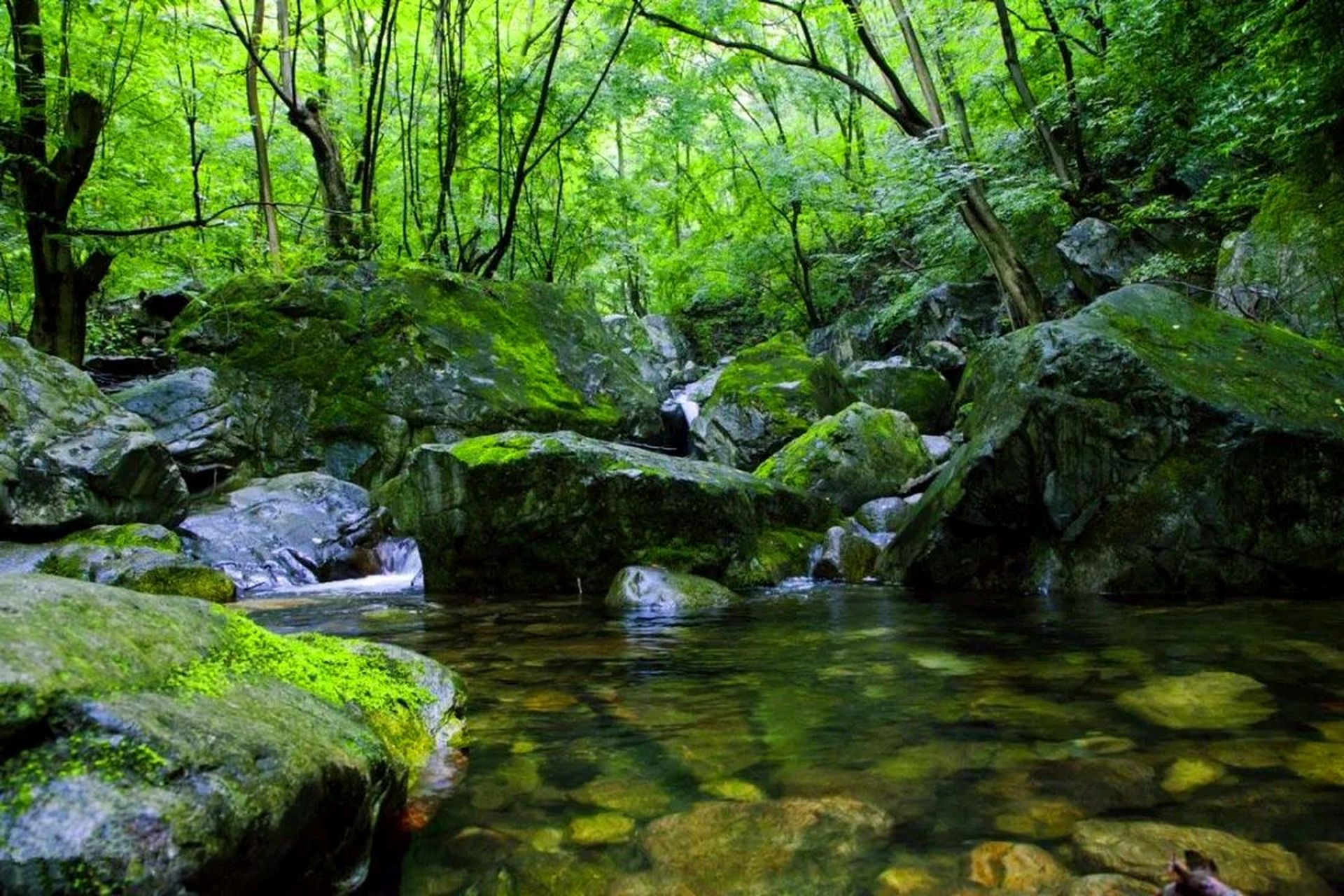 西寺沟又名"西寺峡",位于西安市户县太平峪内,沟内林荫蔽日,溪水潺潺