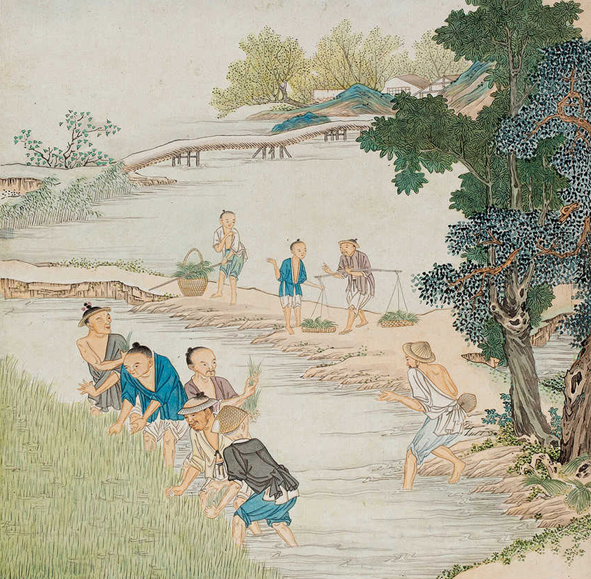 "一犁春雨"诗词80首之一.清代画家沈庆兰《农耕图》册