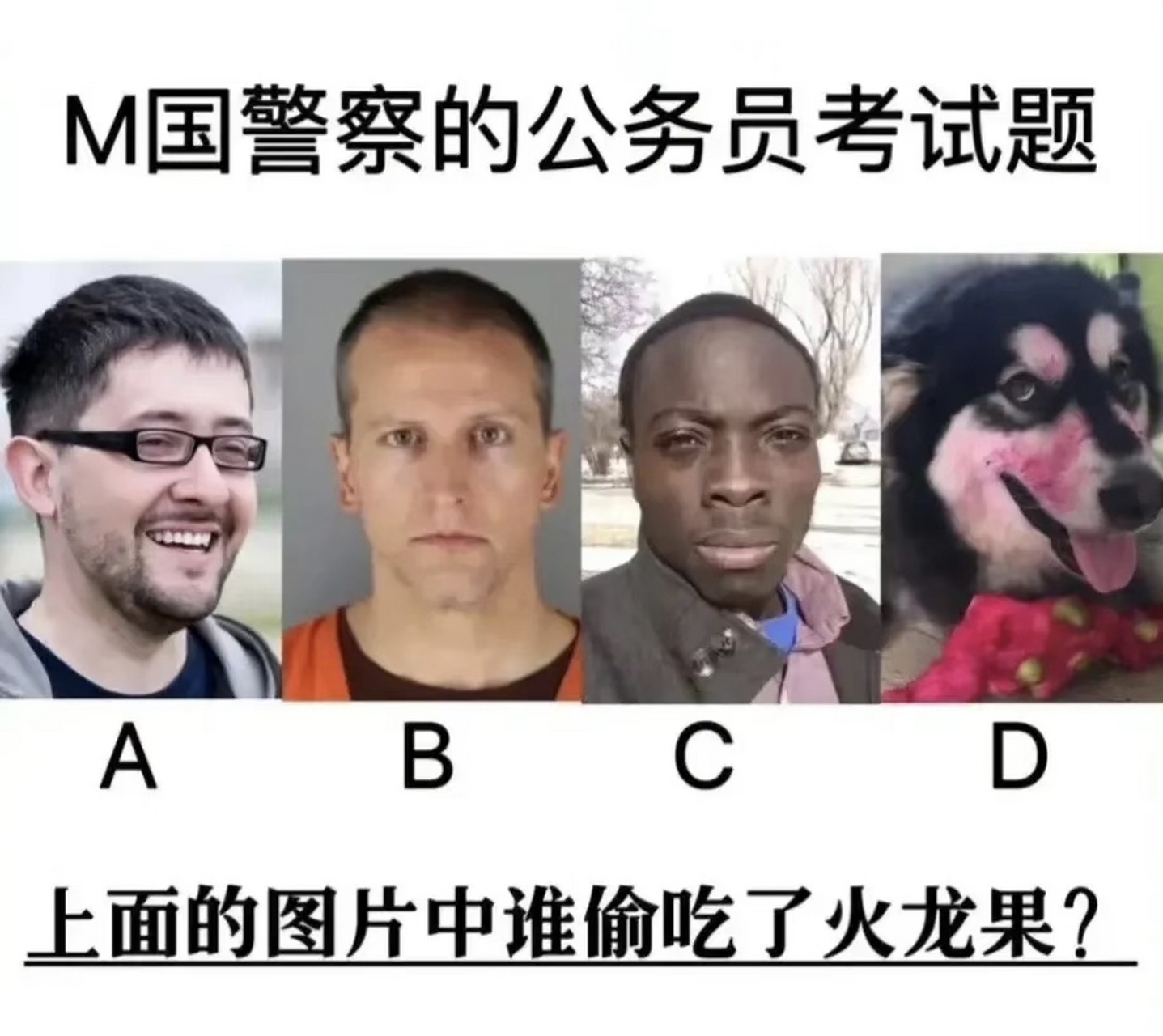 把人的智商按在地上摩擦