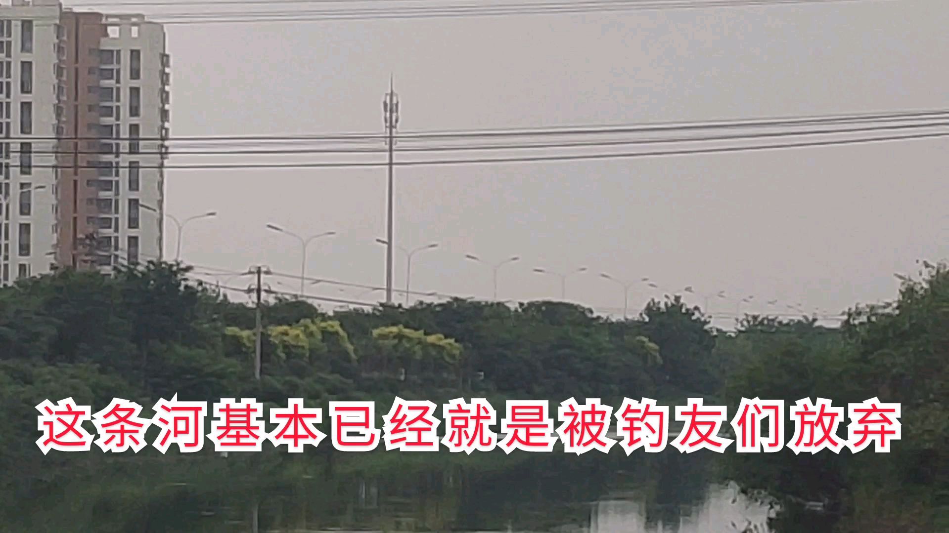 大叔野钓鲫鱼并把个人调钓方法和应对中鱼漂相变化方法分享给大家