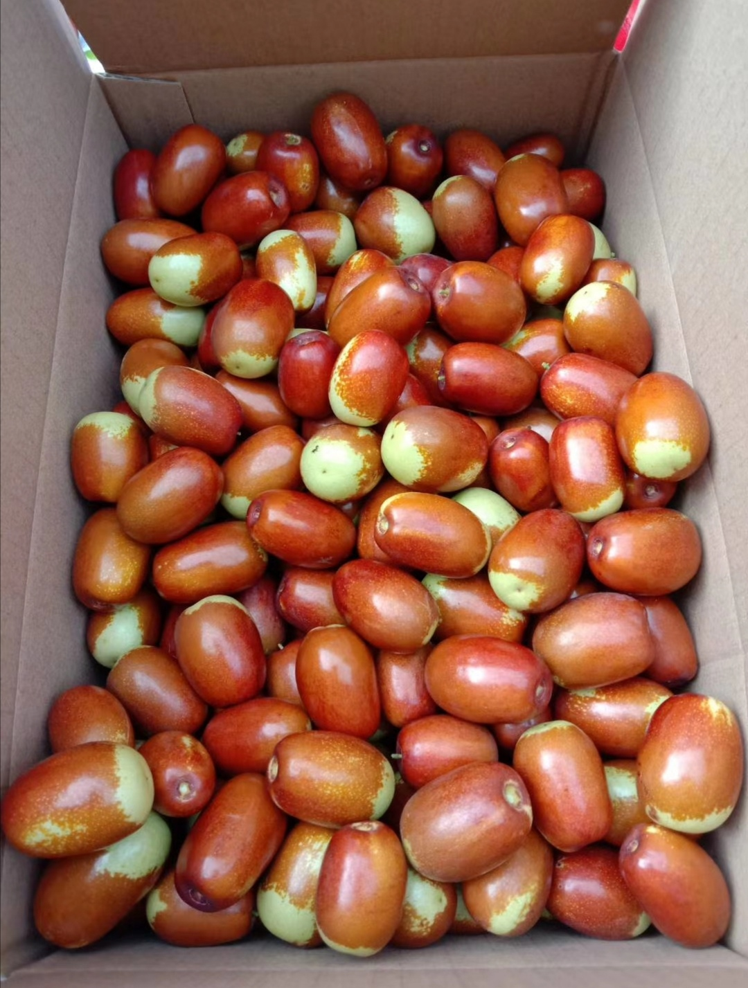 百度爱采购首页 商品专题_大枣金秋送爽风光秀,又是红枣飘香时.