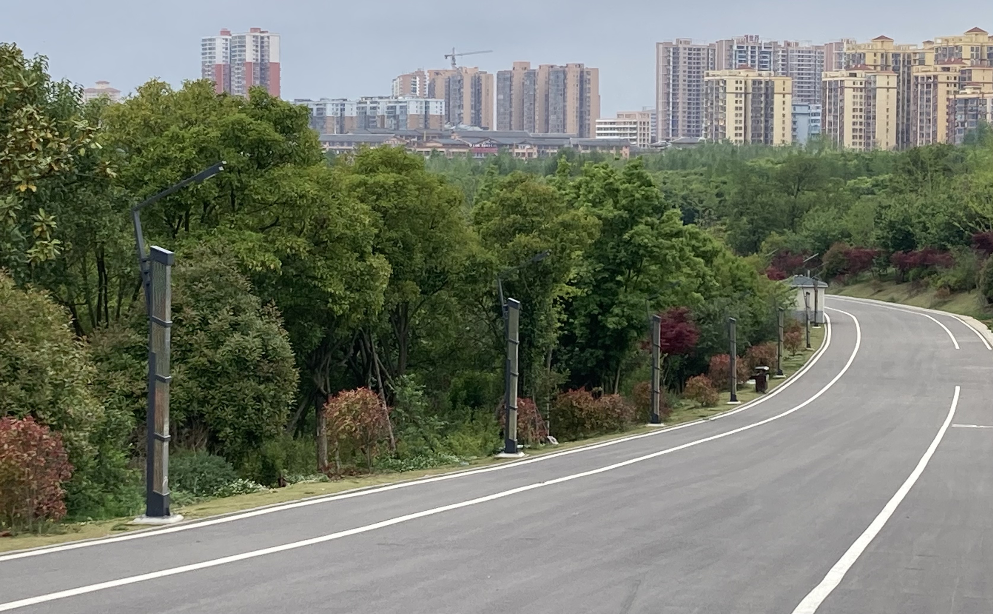 5月威宁北坡上的草海