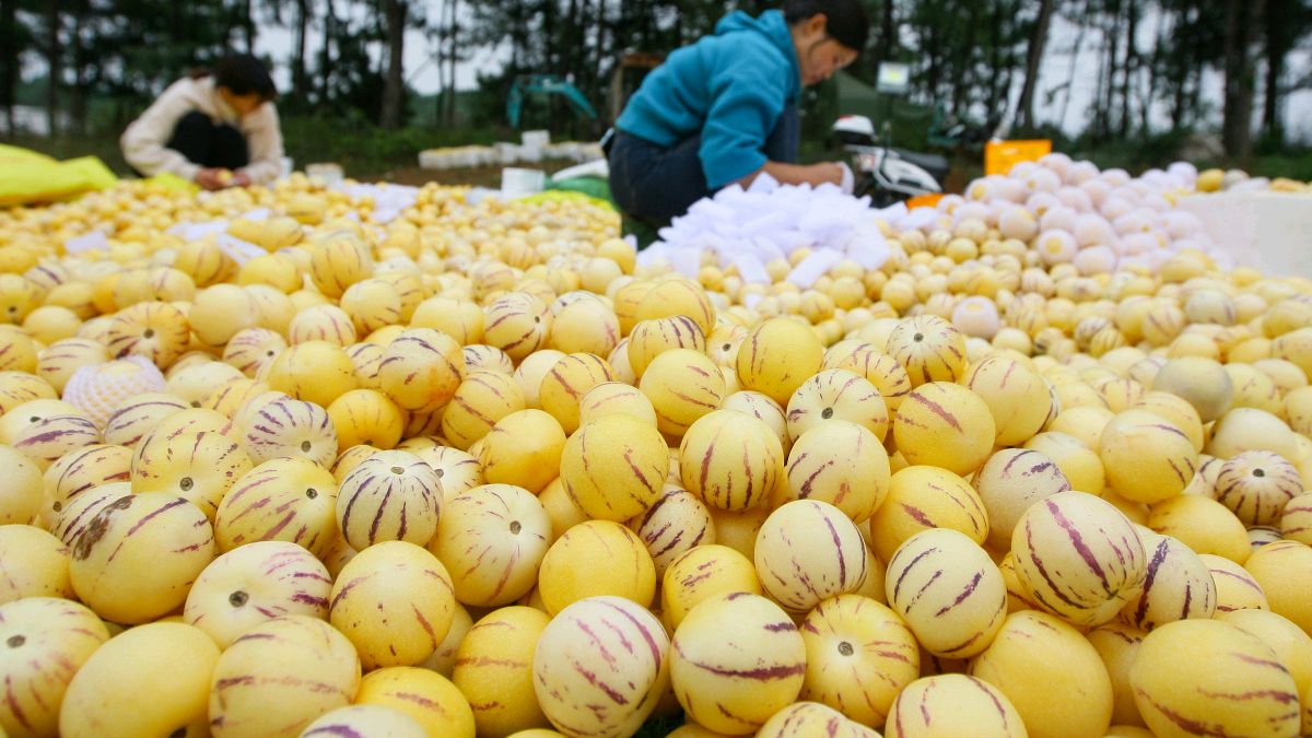 人参果的营养价值