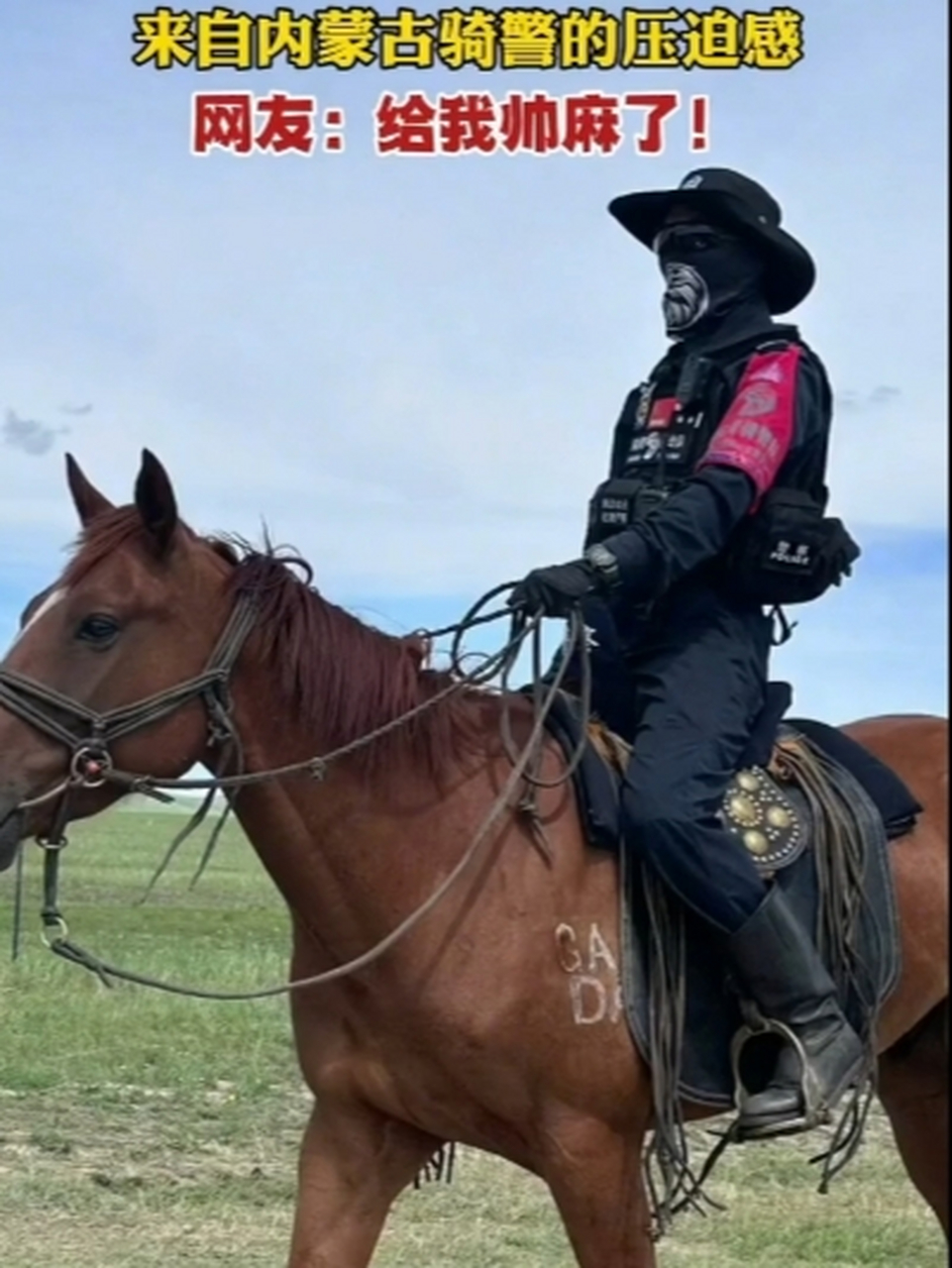 网友在内蒙古偶遇海东青骑警队,在马上指挥交通,宝马配英雄,每一个