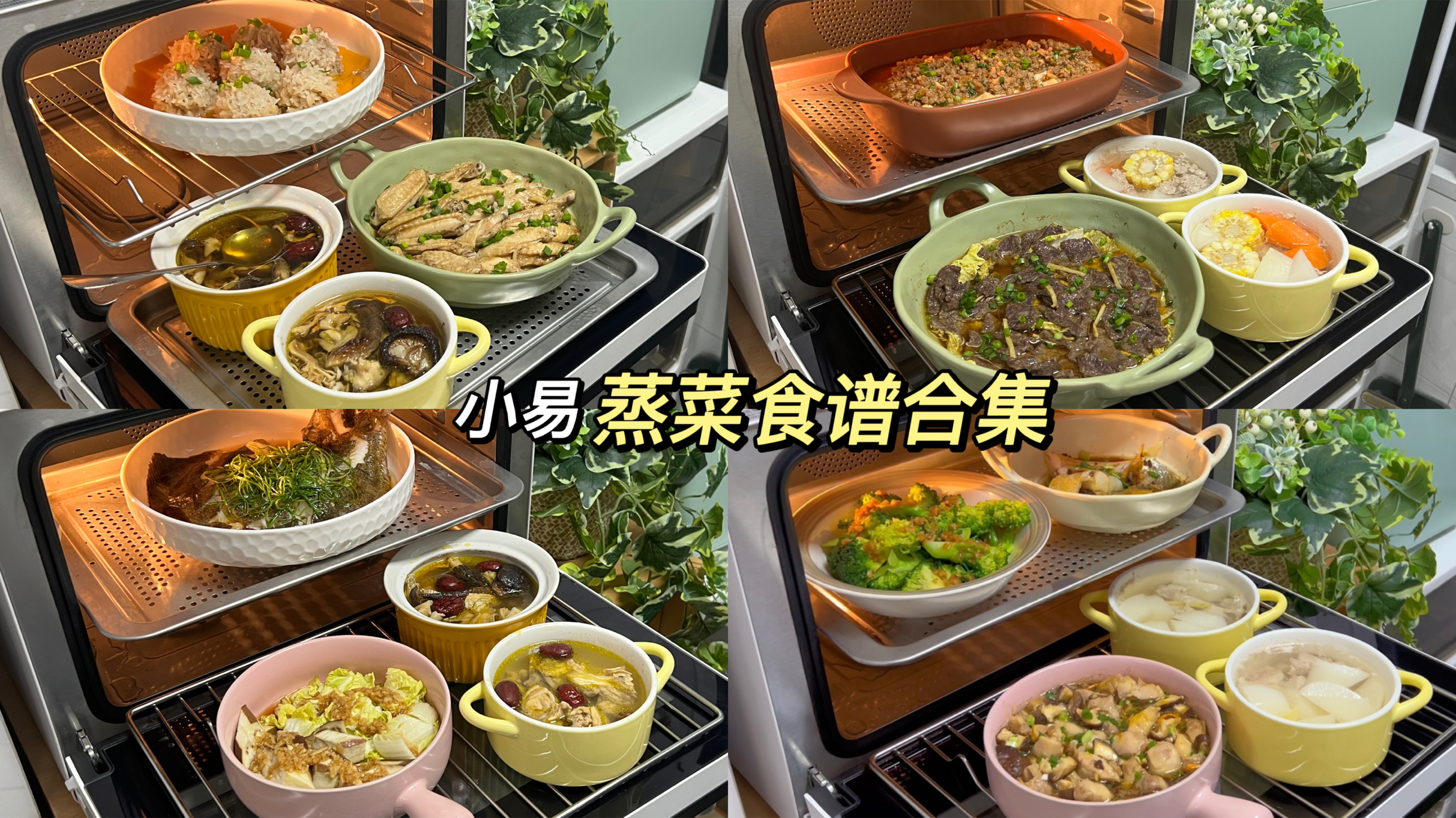 九道蒸菜食谱合集！家常清蒸做法，轻油烟烹饪不仅简单美味还健康