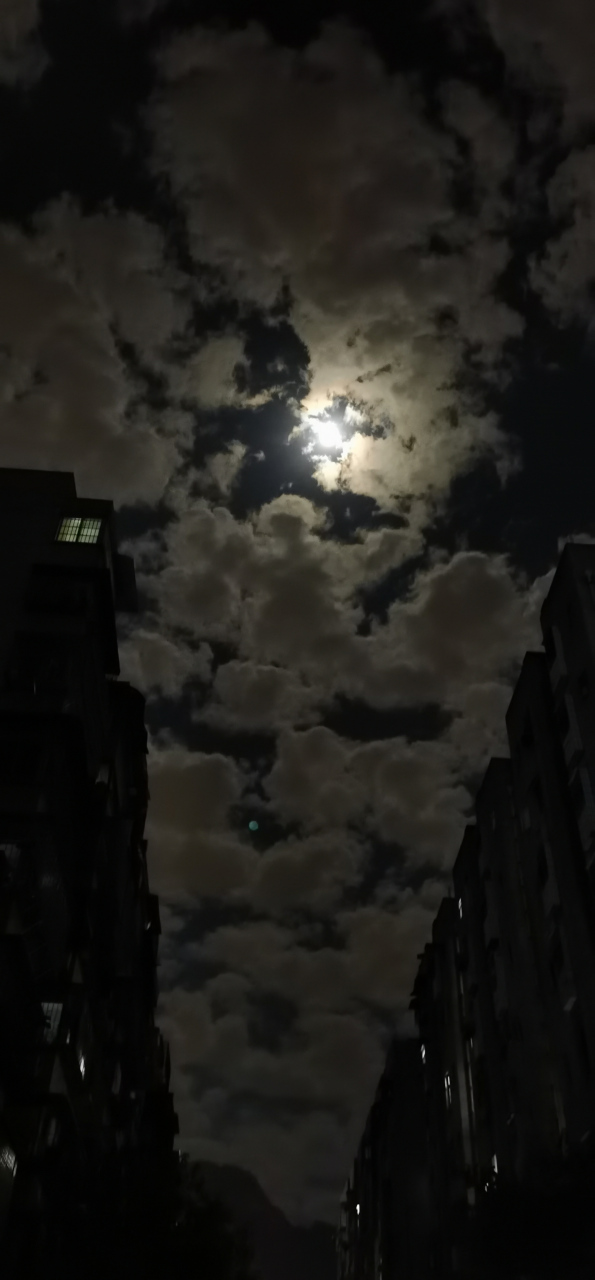 好久没见月光明媚的夜晚了,蓝蓝的天上白云朵朵.看着都那么的舒服!