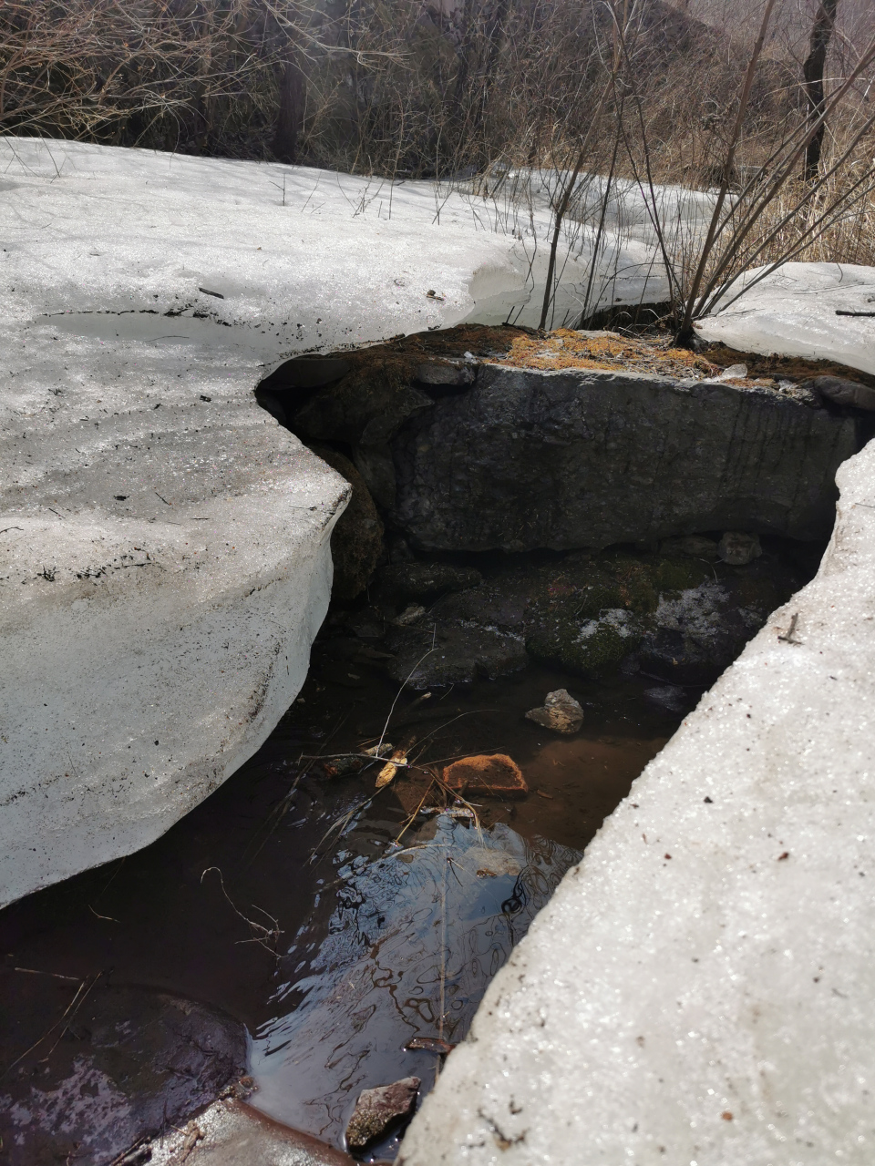 春天的冰 20多度的春天了,山里居然还有这么厚的冰!