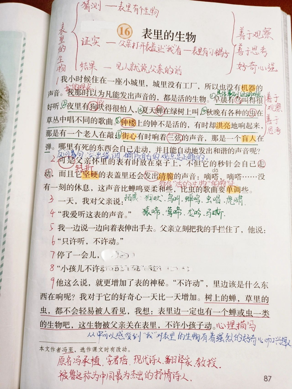 六年级语文下册《表里的生物》课堂笔记 95959595 六年级语文