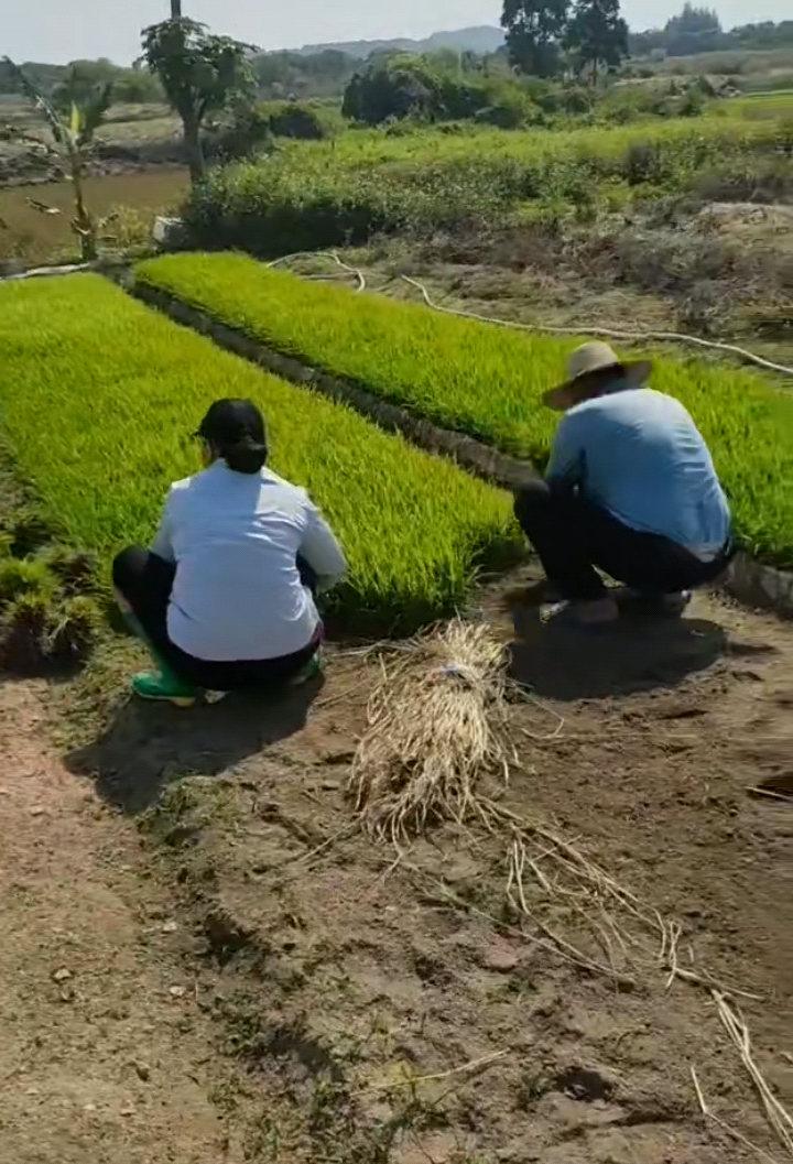 乡下佬的的生活