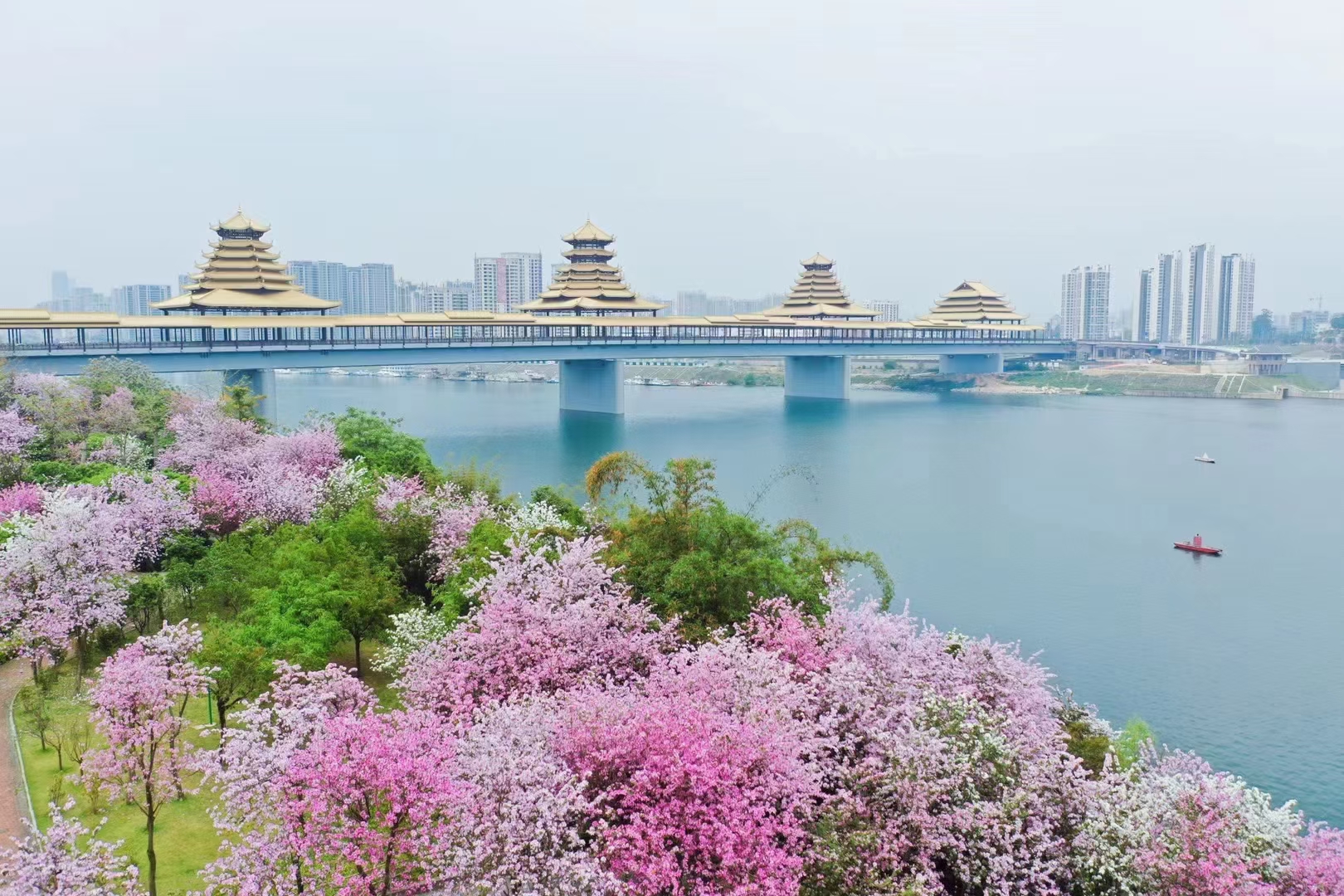 阳春三月,一起走进美丽柳州