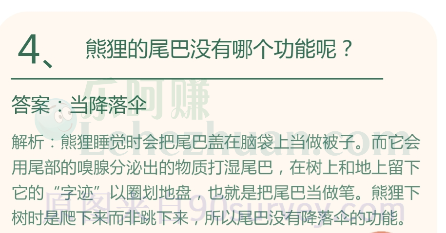 熊狸的尾巴没有哪个功能呢？答案：当降落伞