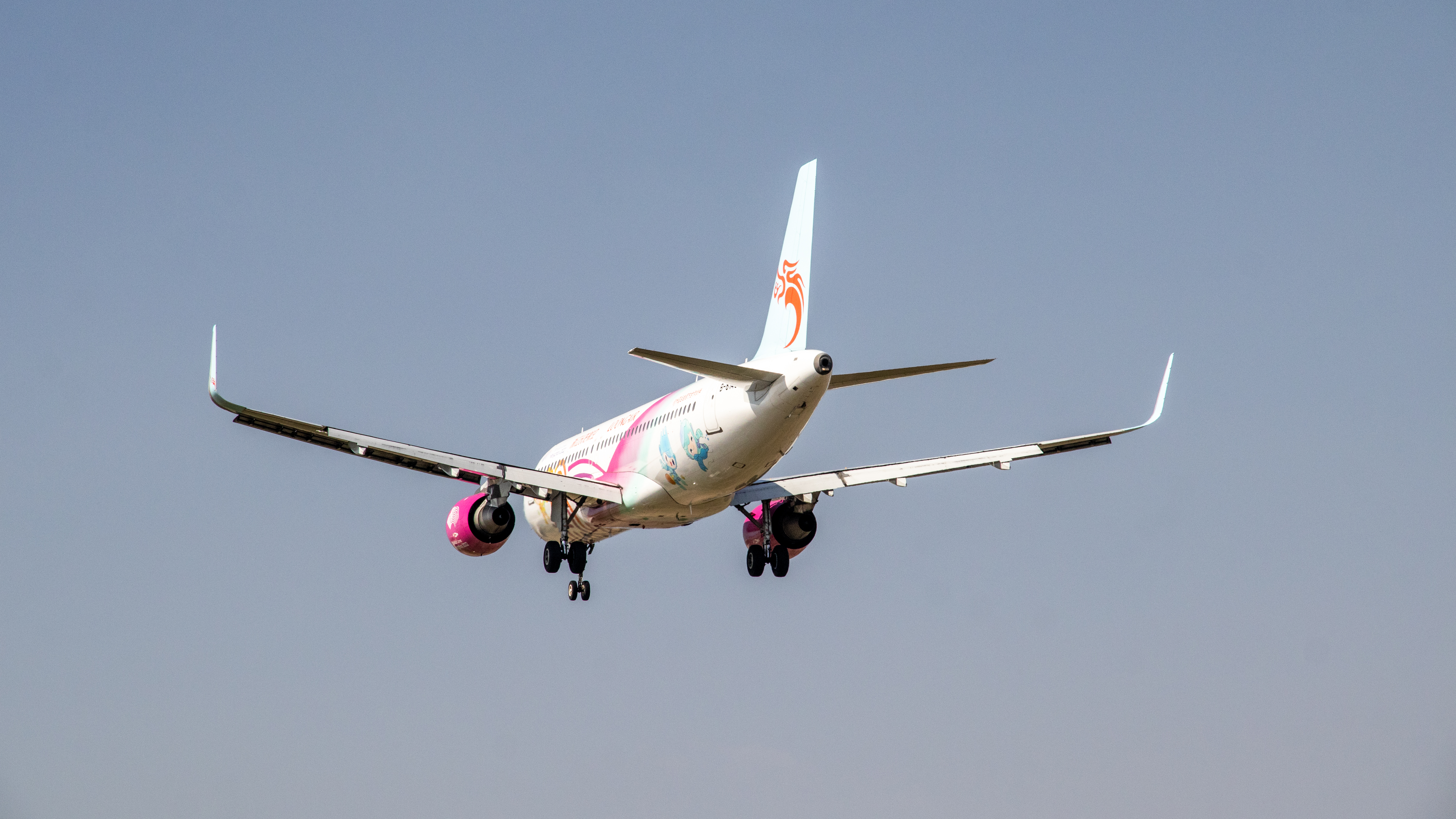 浙江长龙航空a320亚运会彩绘机