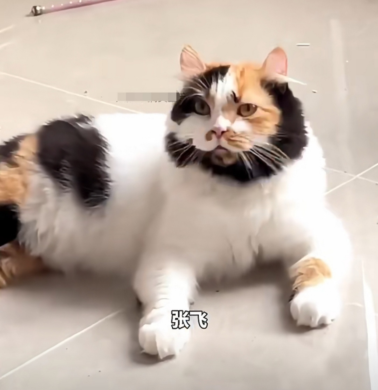 张飞?李逵?鲁智深?