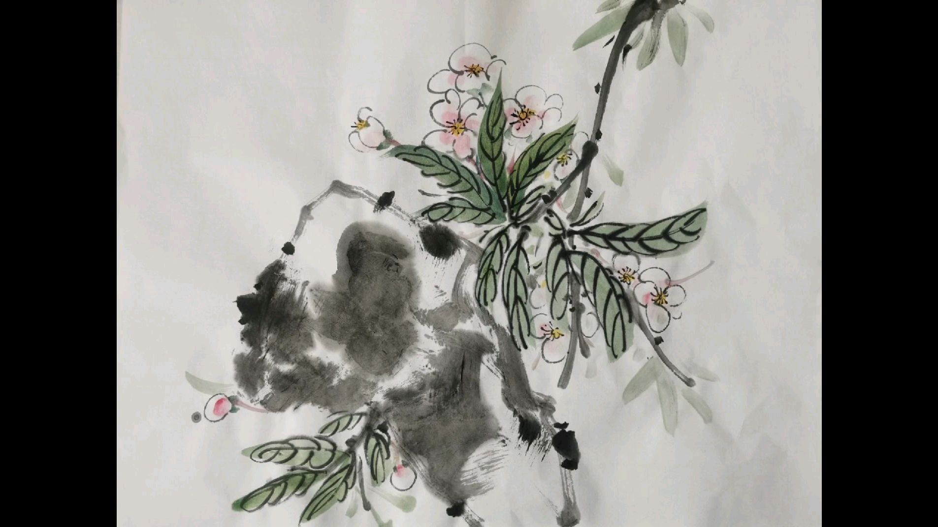 春光明媚,海棠花画法