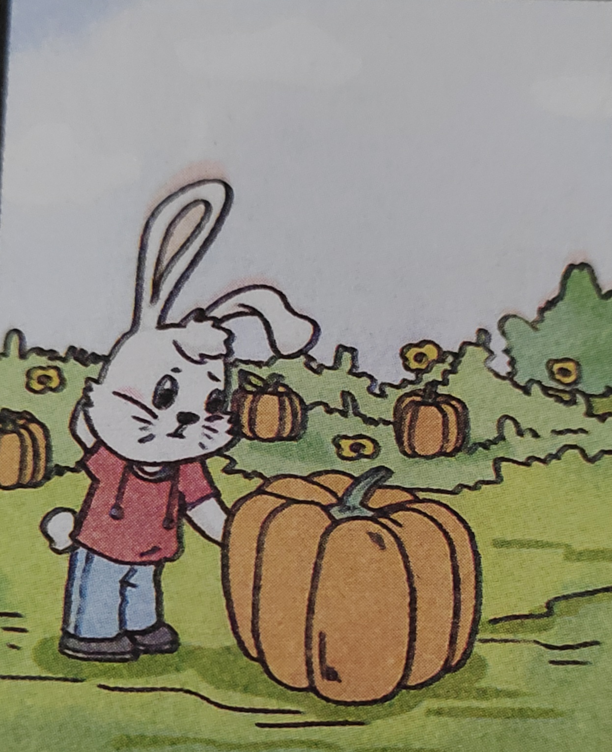兔子滚动南瓜的简笔画图片