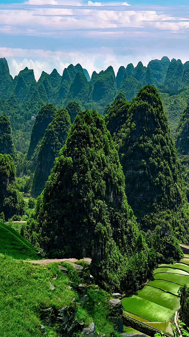 万峰林位于贵州省兴义市东南部,气势宏大壮阔,山峰形态奇特,整体造型