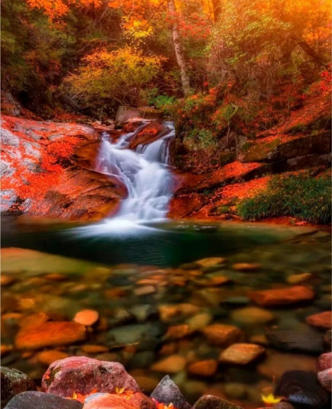 九寨沟的风景真实图片