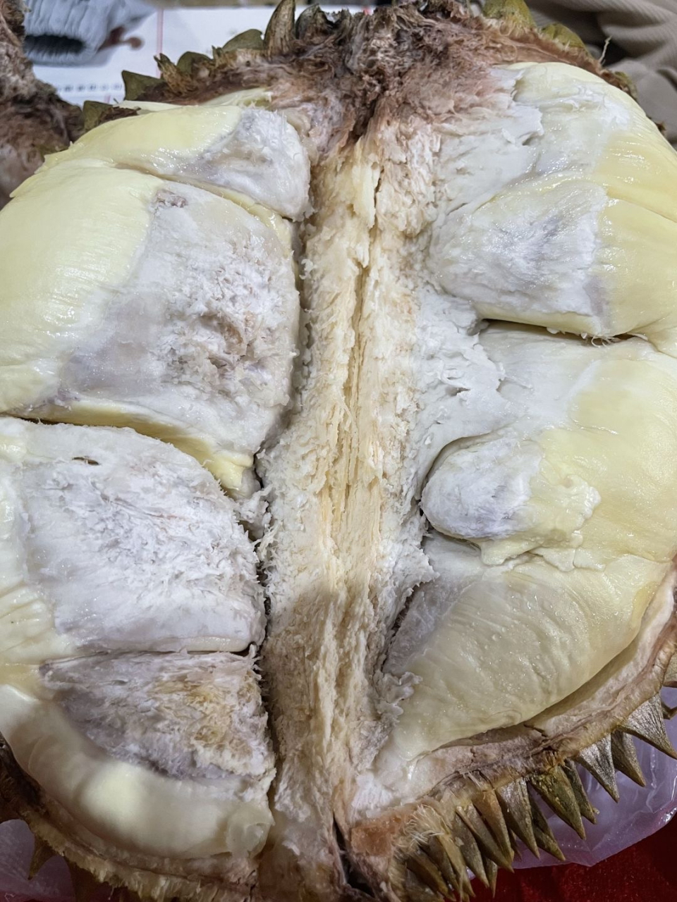 这是报恩榴莲吗?可是怎么有点黑呢?