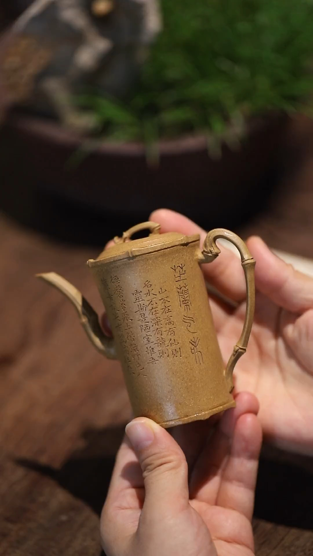 君子不可一日无竹竹居主人 林秀明 虚竹-度小视