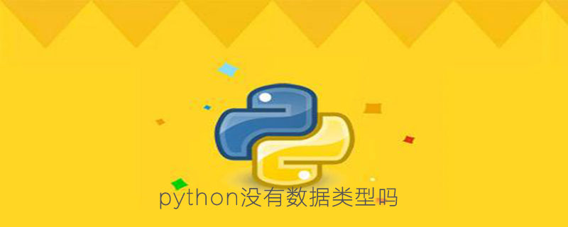 python没有数据类型吗？