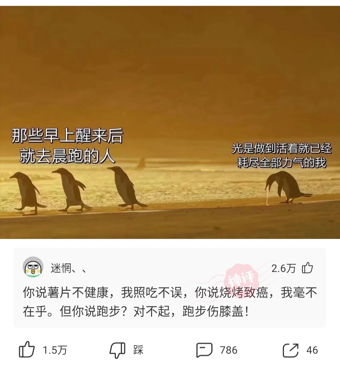 搞笑图片:怎么看那些早晨起来跑步的人?