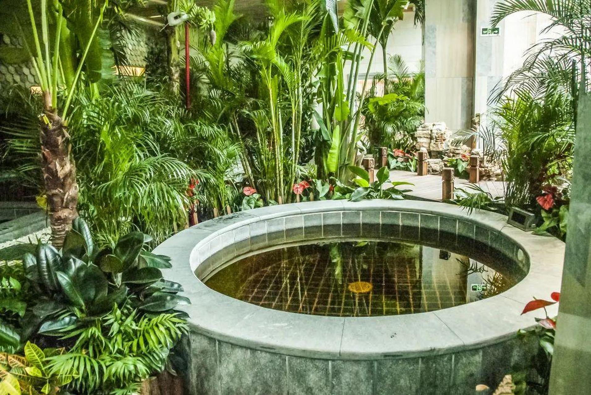 保定涞源白桦林温泉谷酒店位于白石山温泉度假区内华中假日温泉酒店与