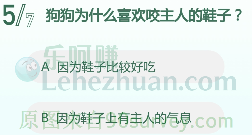 狗狗喜欢咬主人的鞋子是因为鞋子上有主人的气息 狗狗喜欢咬主人的鞋子是因为鞋子上有主人的气息