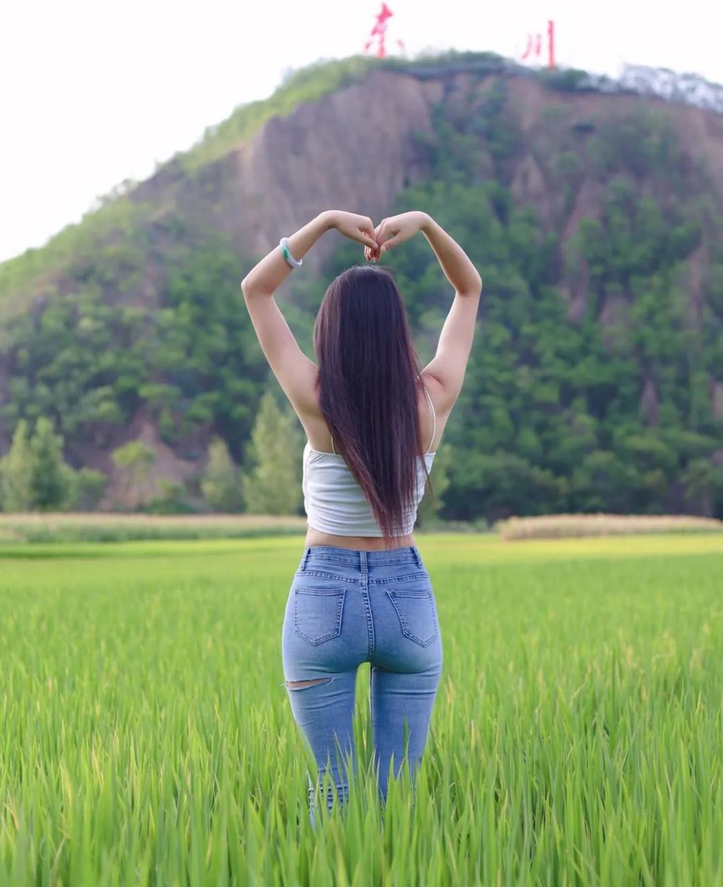 美女在稻田里的背影图片