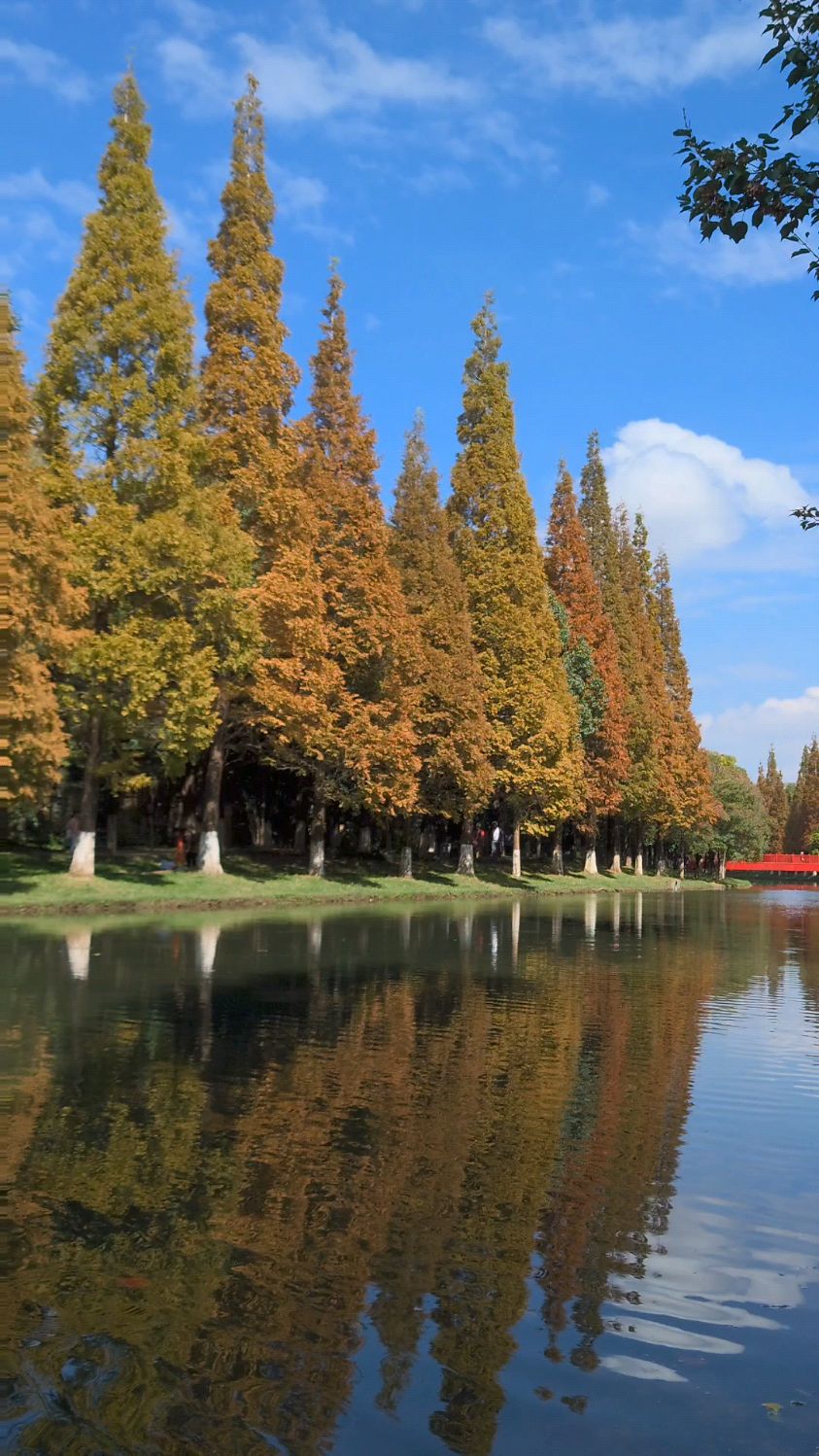 云南昆明采莲河风景