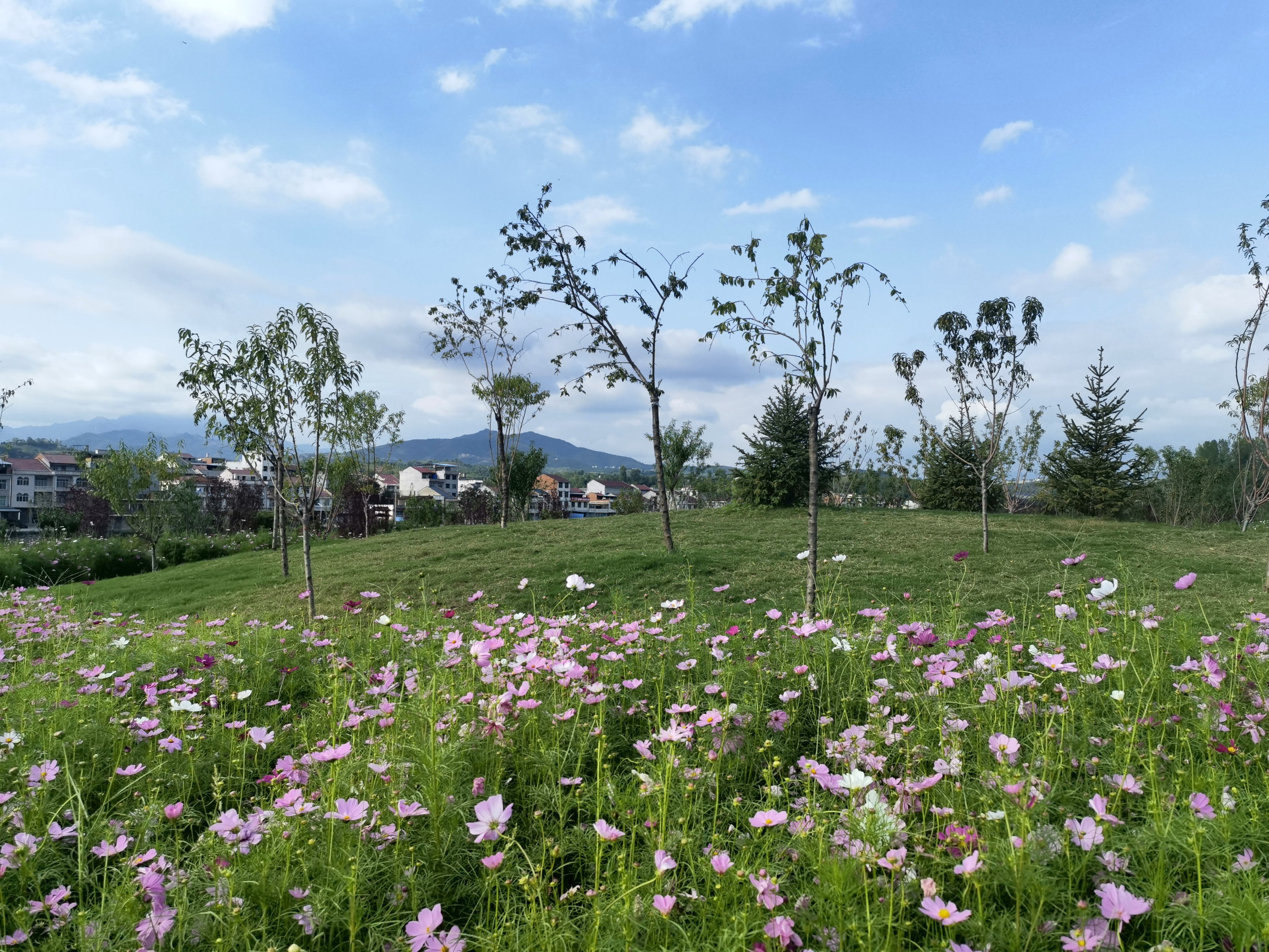 陕西安康市高新区正在建设中的桃花源公园