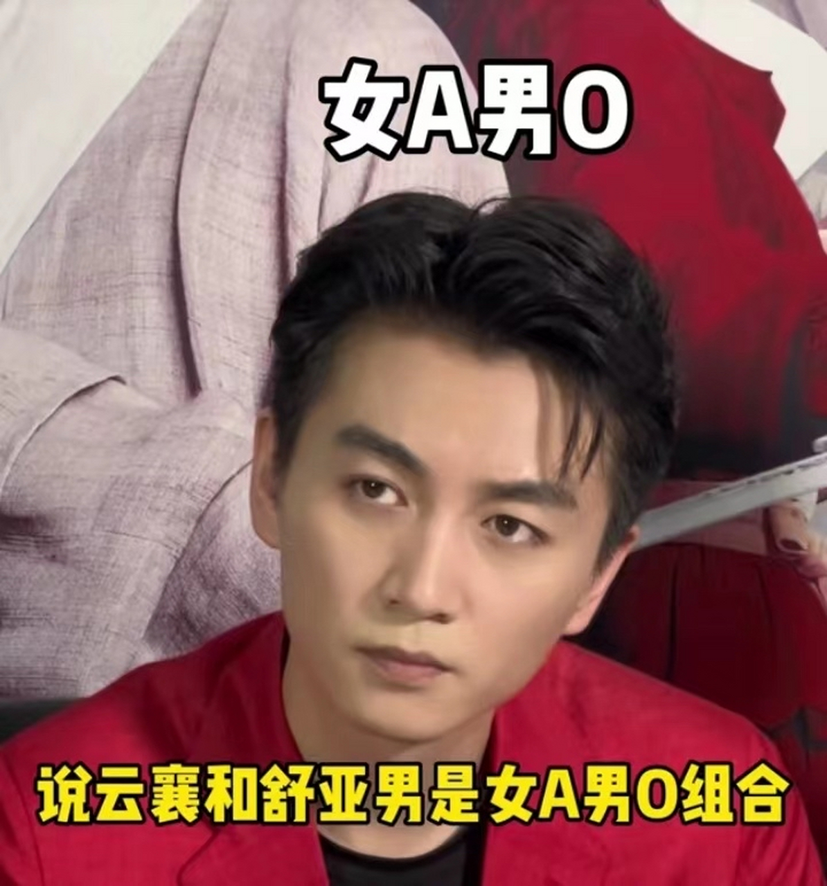 我也不知道女a男o啥意思