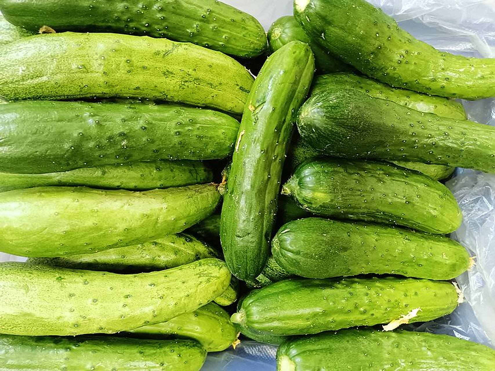 我最近迷上了农家种植的土黄瓜06,真的是超级好吃!