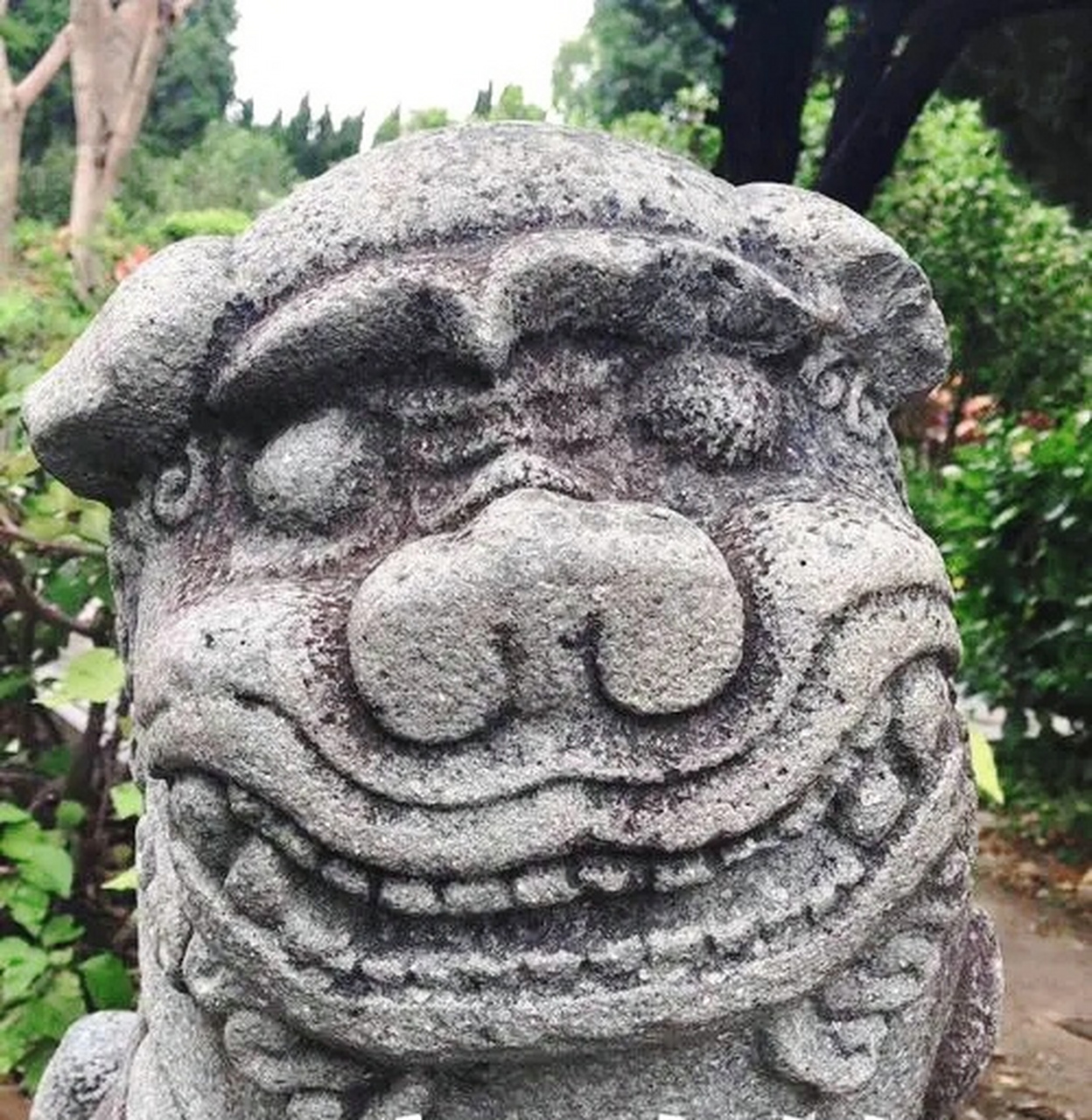 发现几只不大正经的石狮子,太逗了.#趣图搞笑
