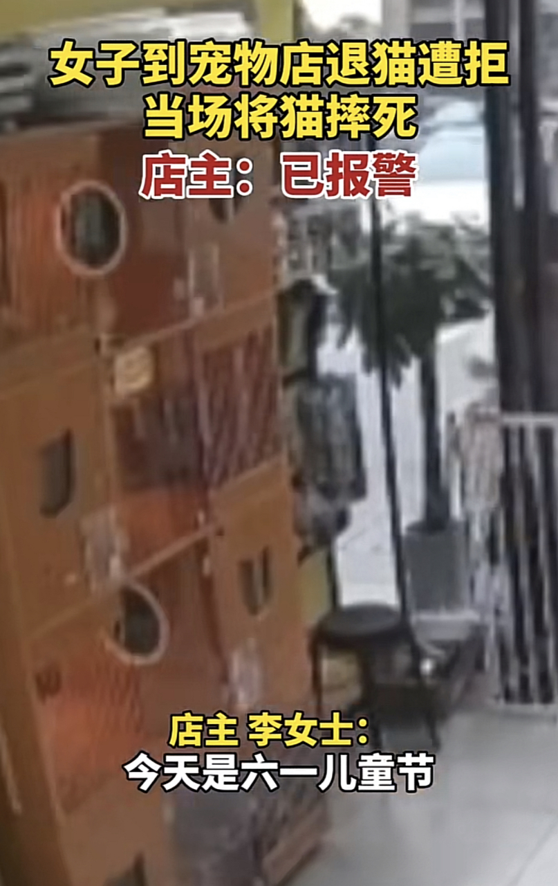 女子疑退猫被拒当场摔猫