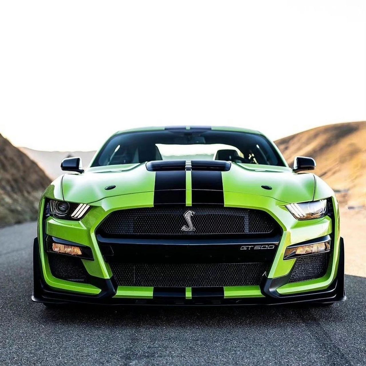 纯正美式肌肉车,福特谢尔比gt500蛇王