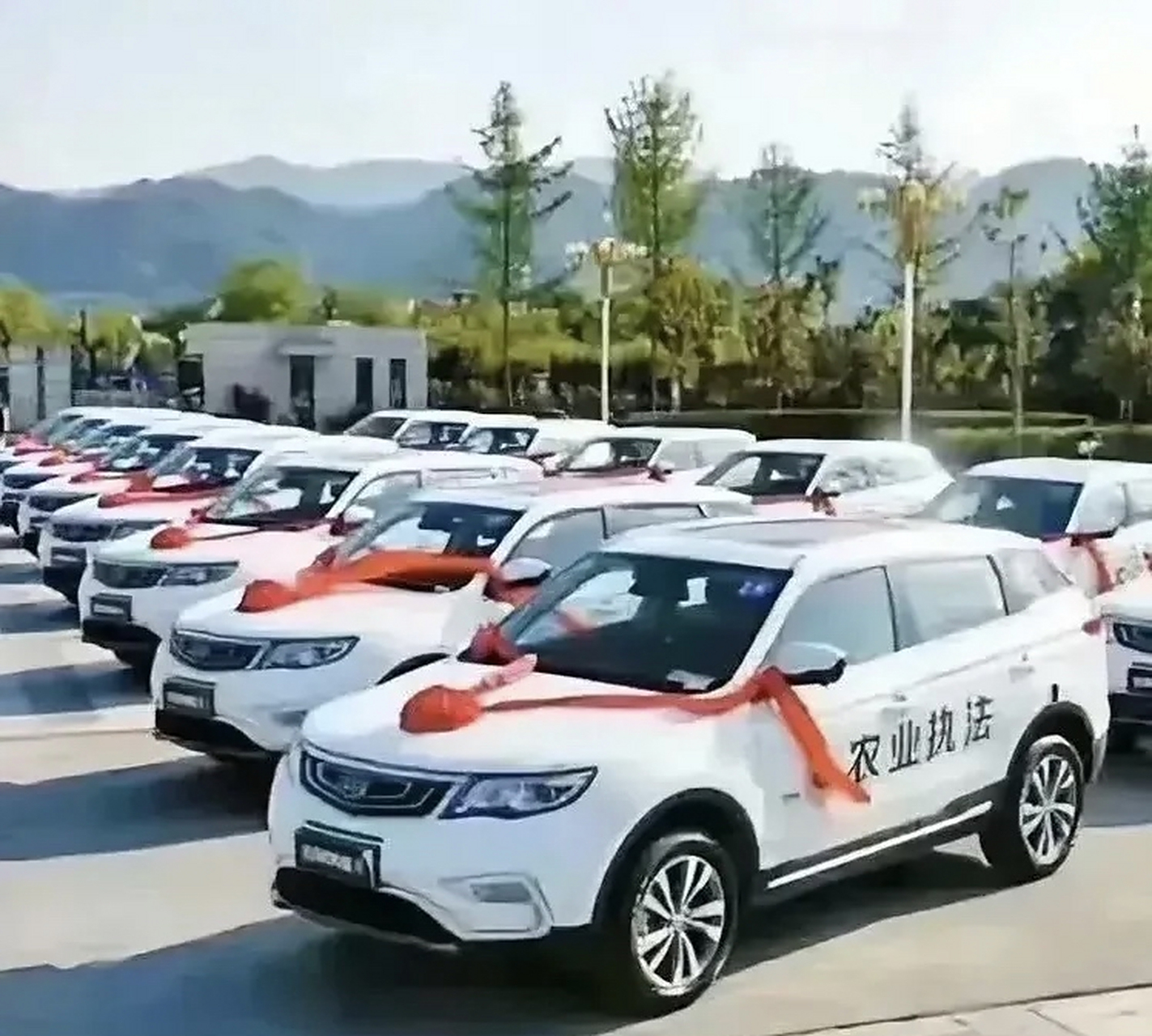 "农业综合执法队" 开始行动了!