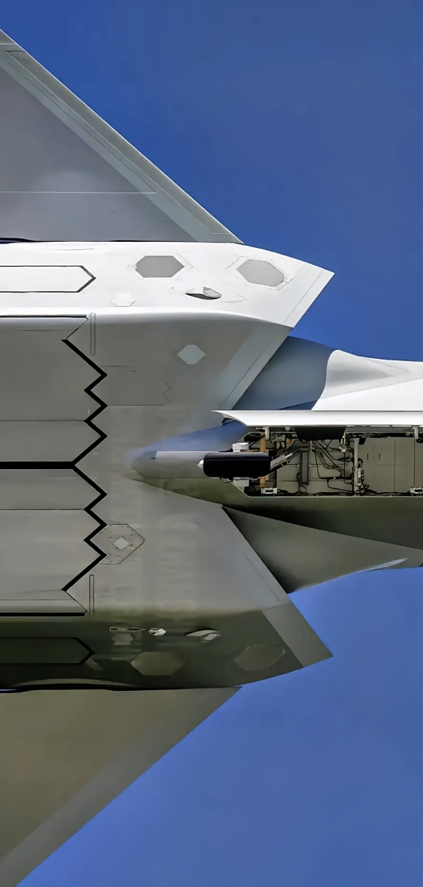 不得不承认,美帝f20威禽是地表最强战斗机,这做工就完爆太多国家了