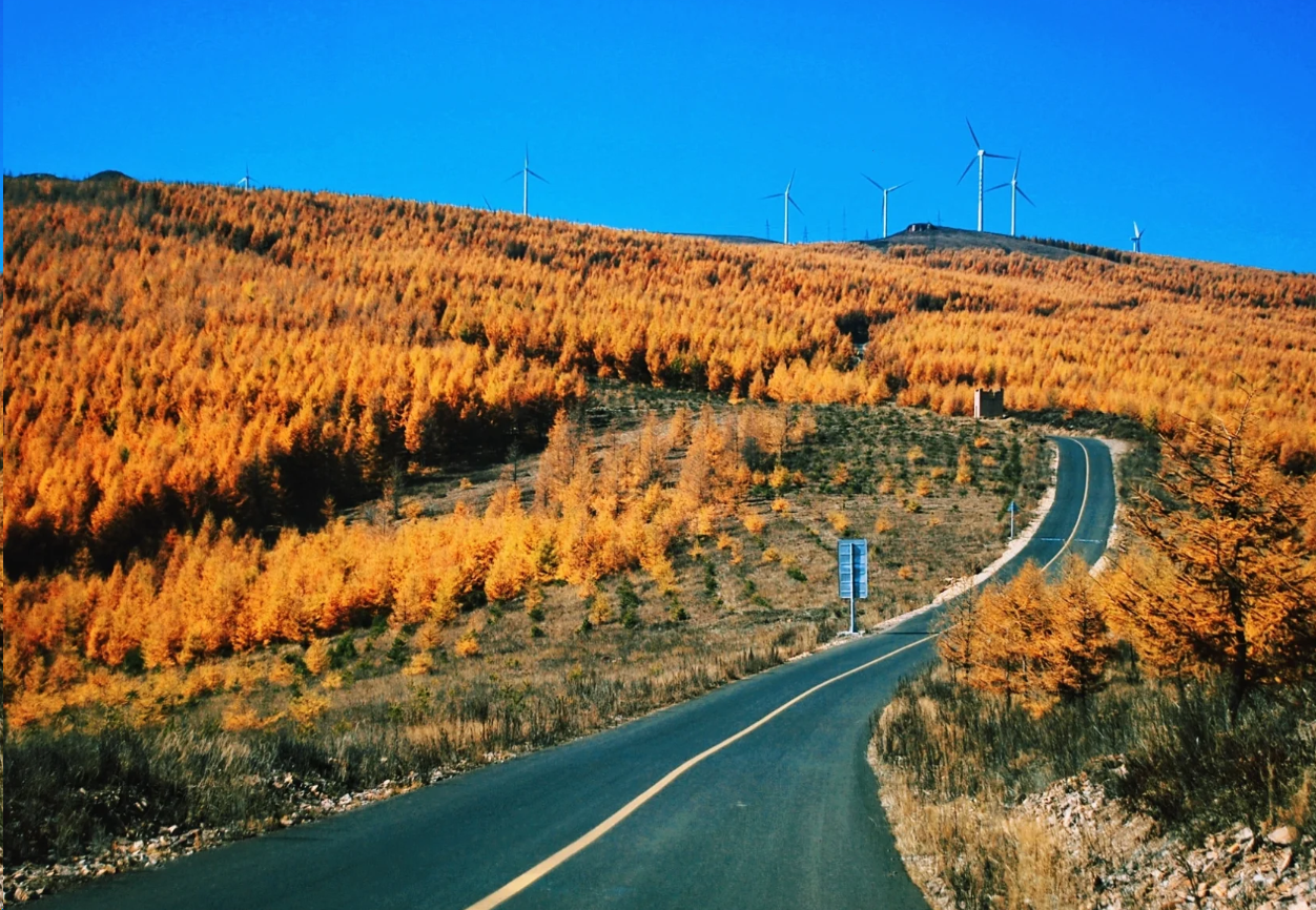 张北草原天路介绍:一条风景如画的自驾之路!