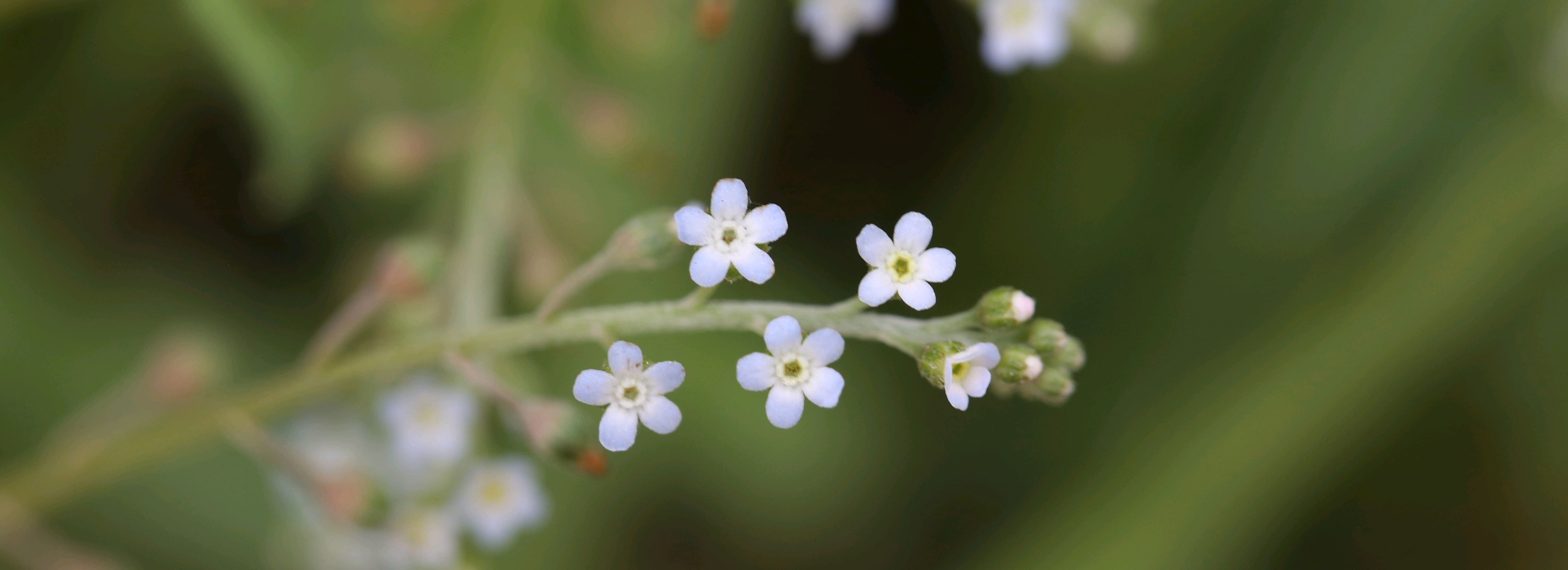 微笑生活每一天
